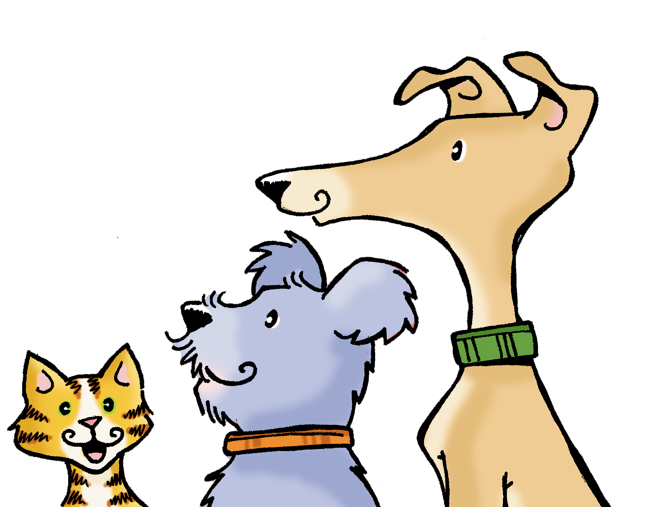 Campaign cover image for Gayle McCrystal Memorial Donations