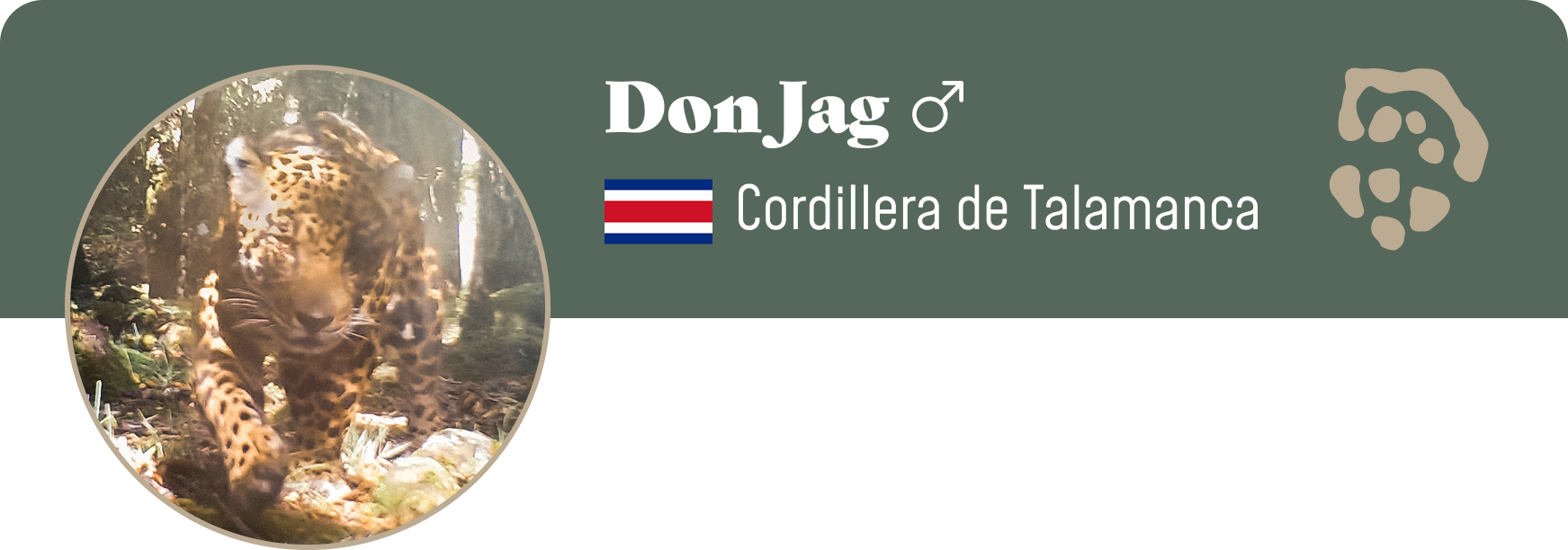 Campaign cover image for Adopt Don Jag