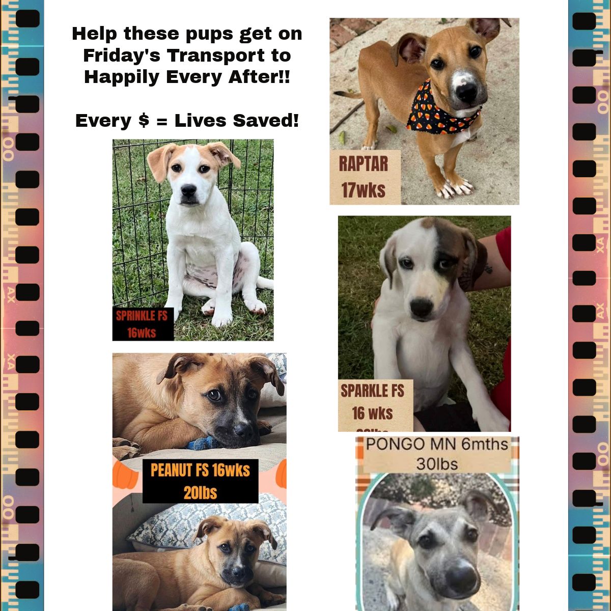 Campaign cover image for Oct 17 2025