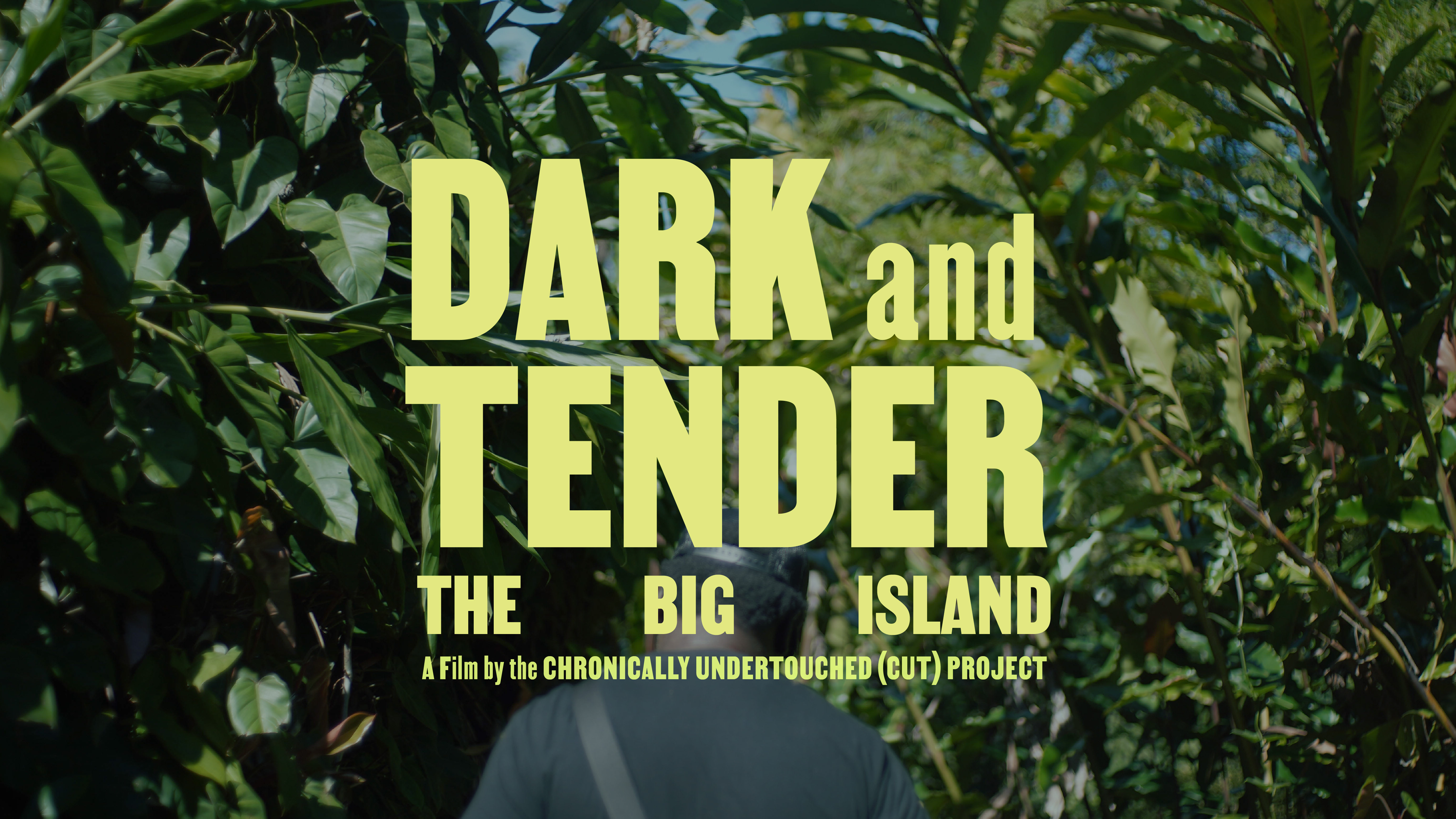 Campaign cover image for Vintage Theatre | "Dark and Tender: The Big Island " Screening, ManaHeart Circle and Q&A