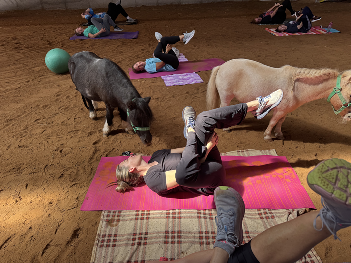 Campaign cover image for Yoga with the Horses