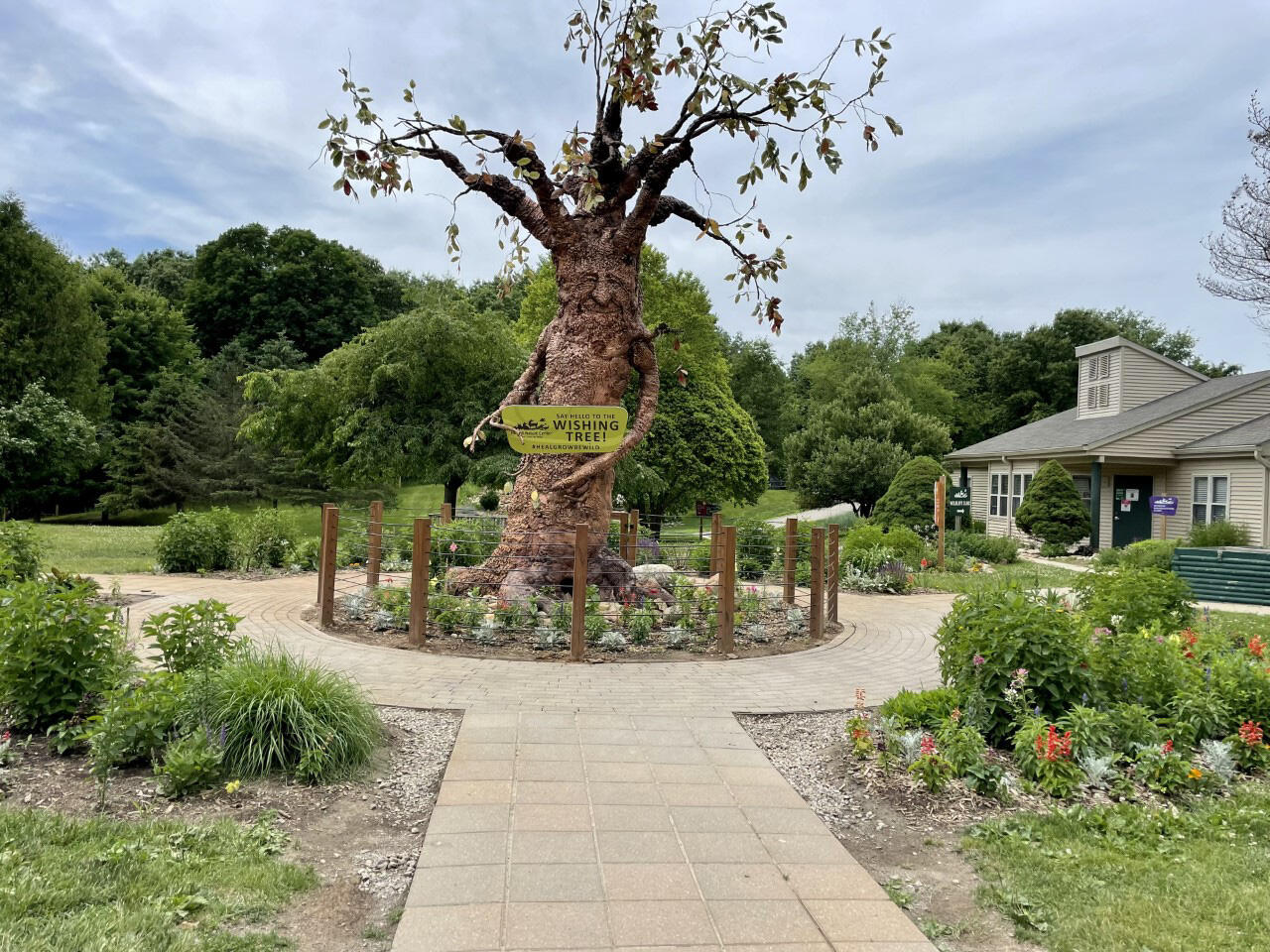 Campaign cover for Wishing Tree Restoration