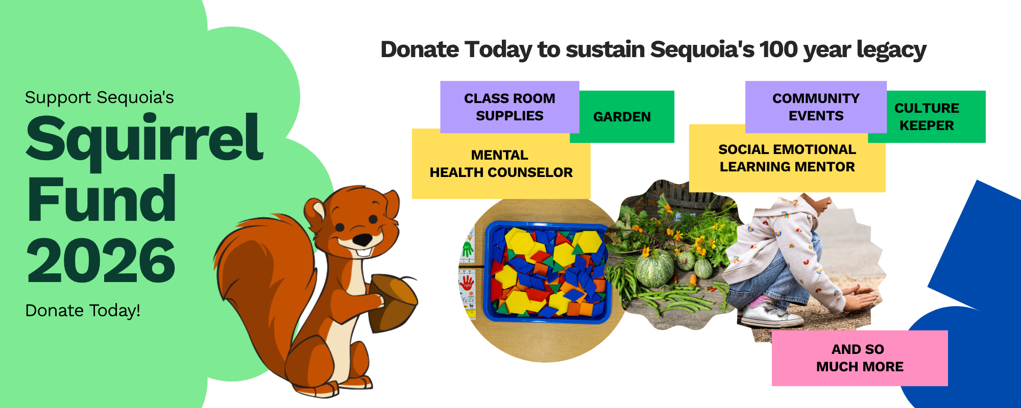 Campaign cover image for Squirrel Fund 2026