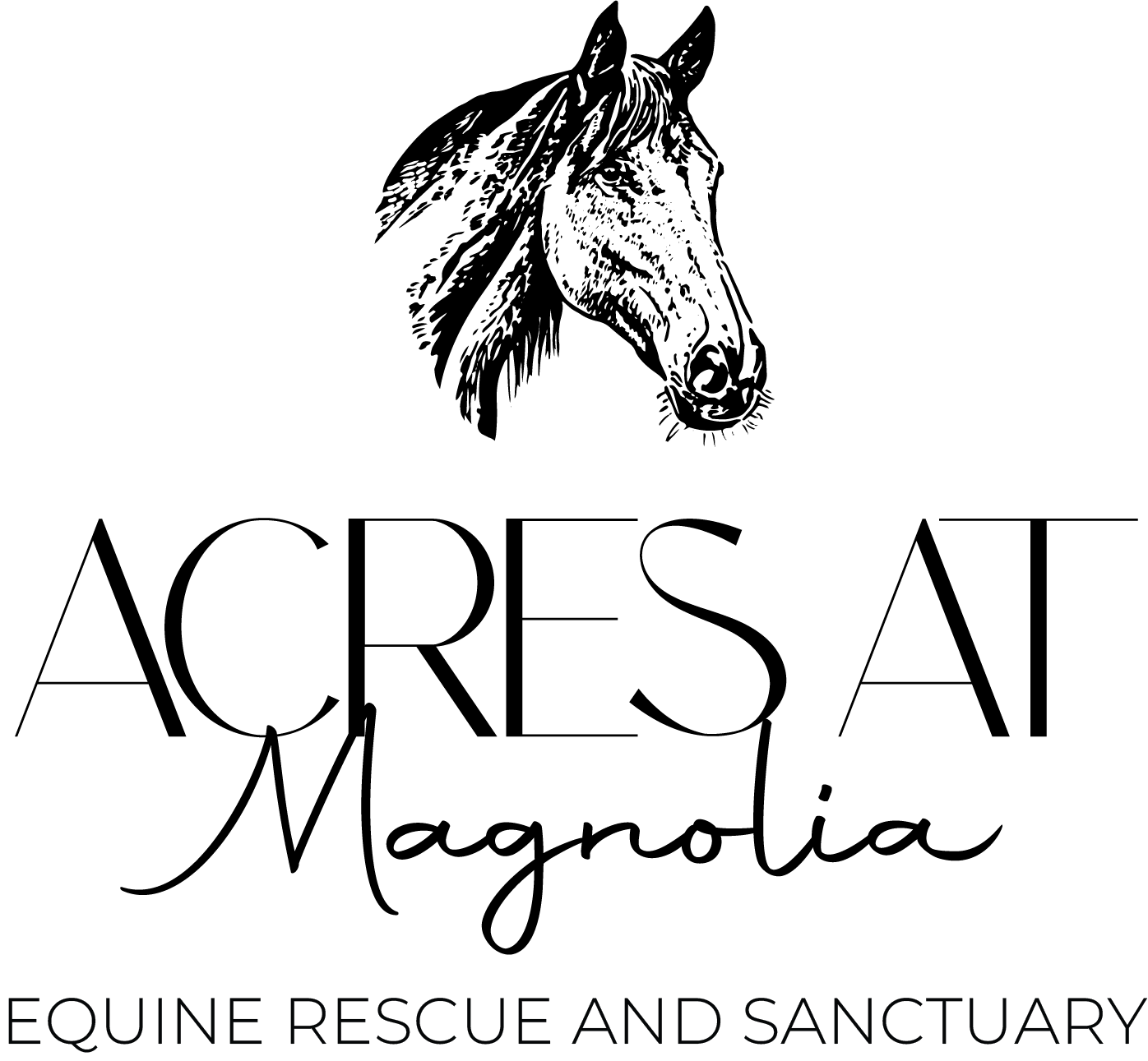 Campaign cover image for Dec, 20th General Admission 2-6 PM