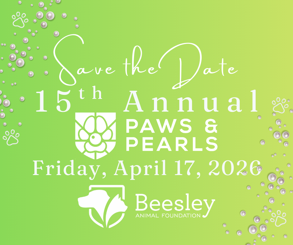 Campaign cover image for 15th Annual Paws & Pearls for Beesley Animal Foundation