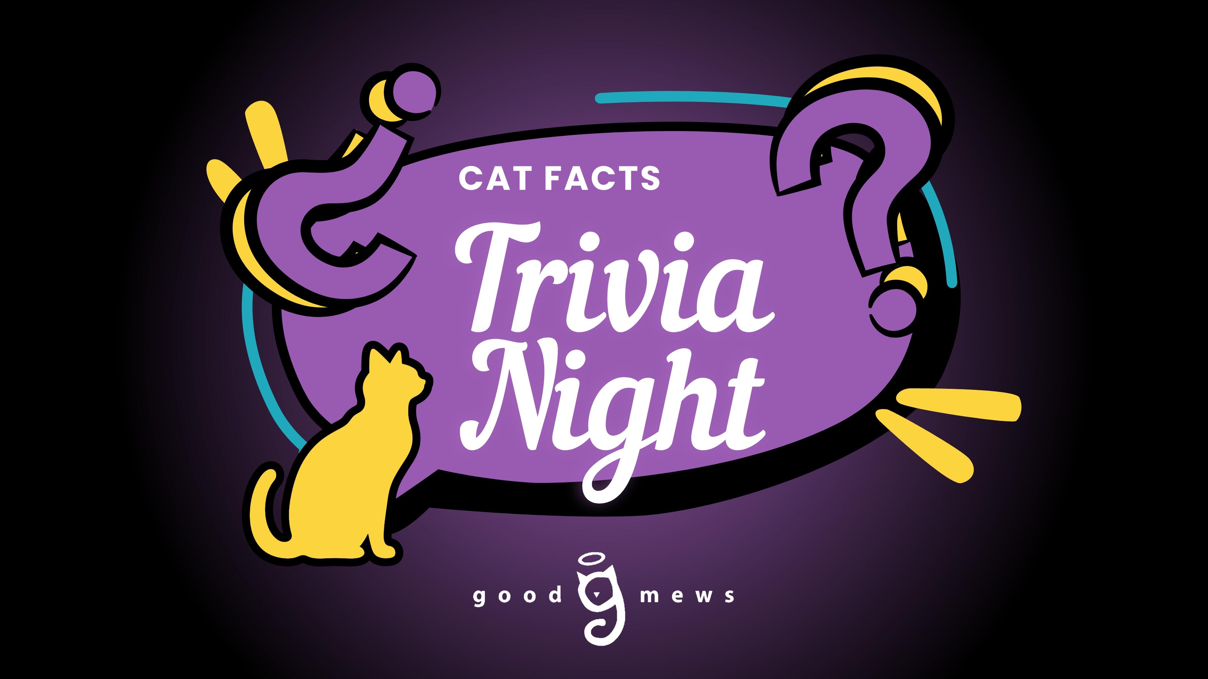 Campaign cover image for Cat Facts Trivia Night with Good Mews