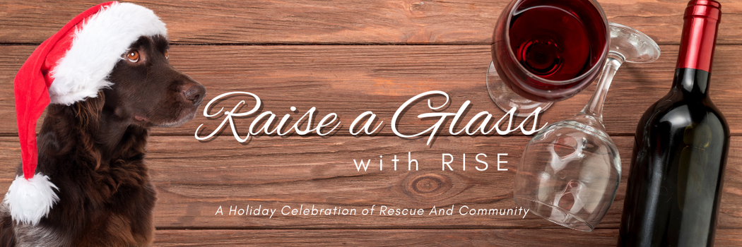 Campaign cover image for Raise a Glass with Rise