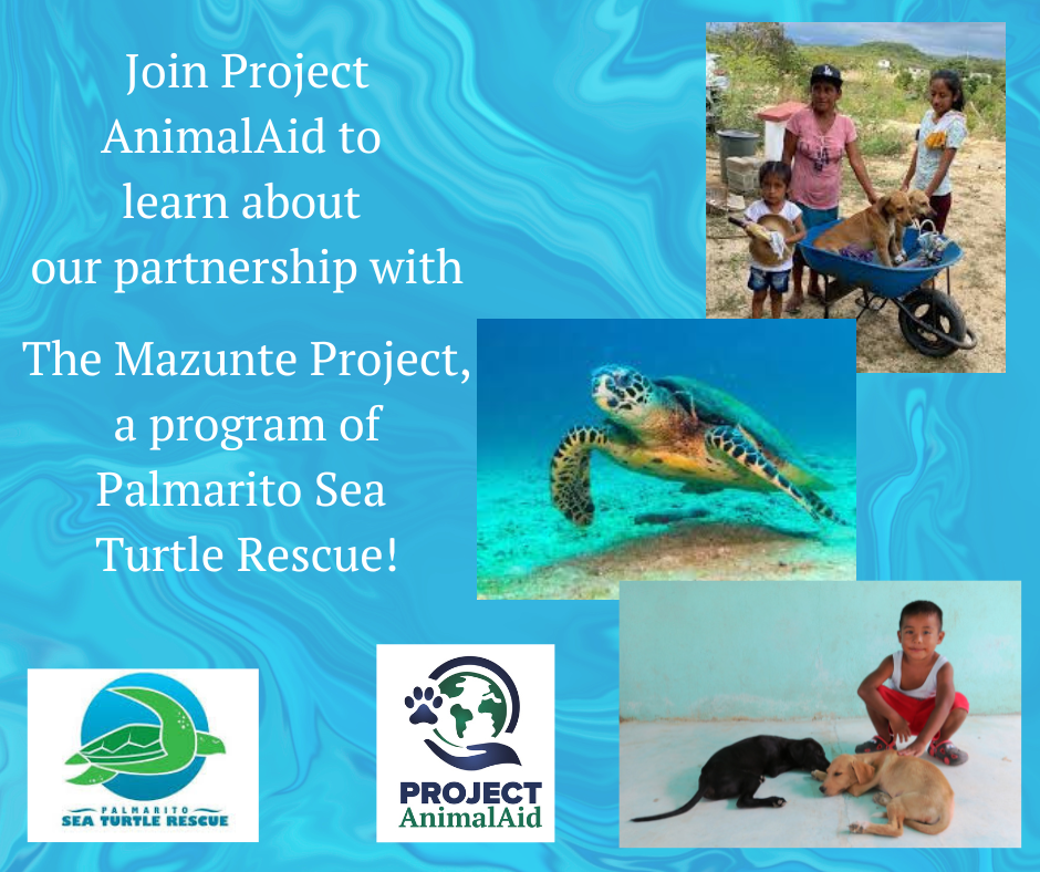 Campaign cover image for A Project AnimalAid 2024 Thank You!