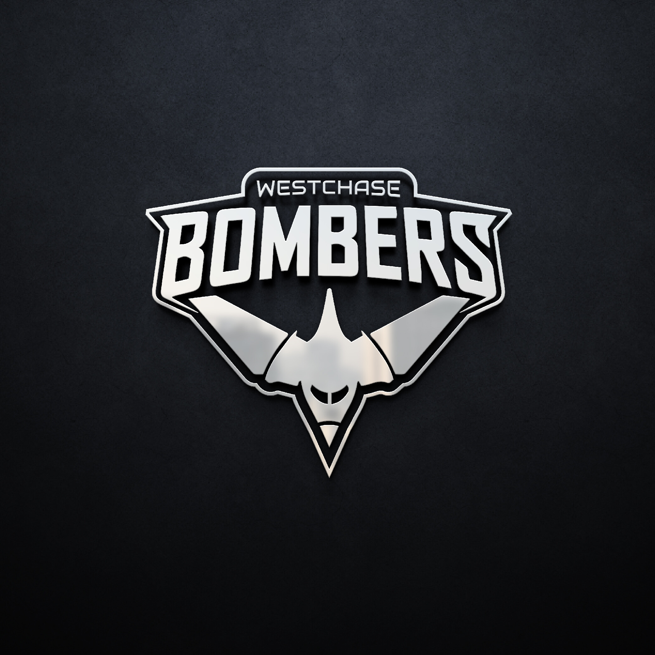 Campaign cover image for Westchase Bombers 12U Silent Auction