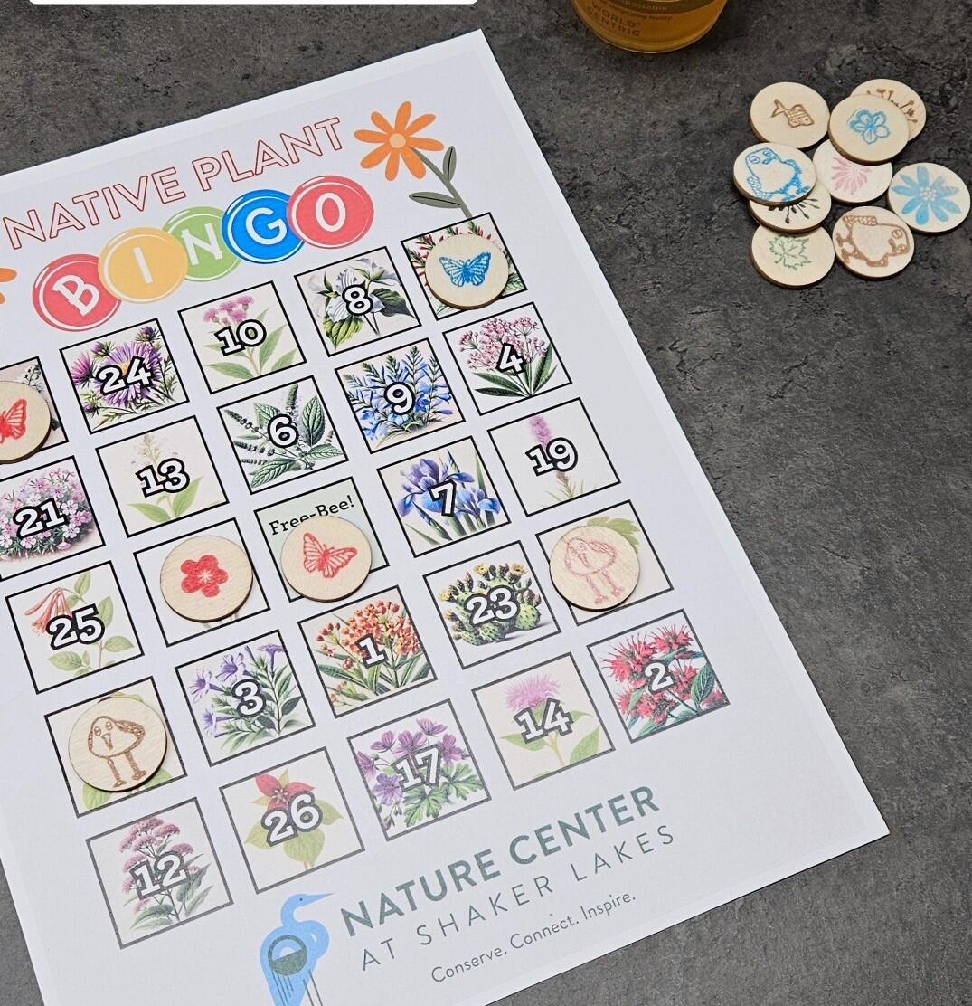 Campaign cover image for Summer Wednesday: Native Plant Bingo 7-1-26