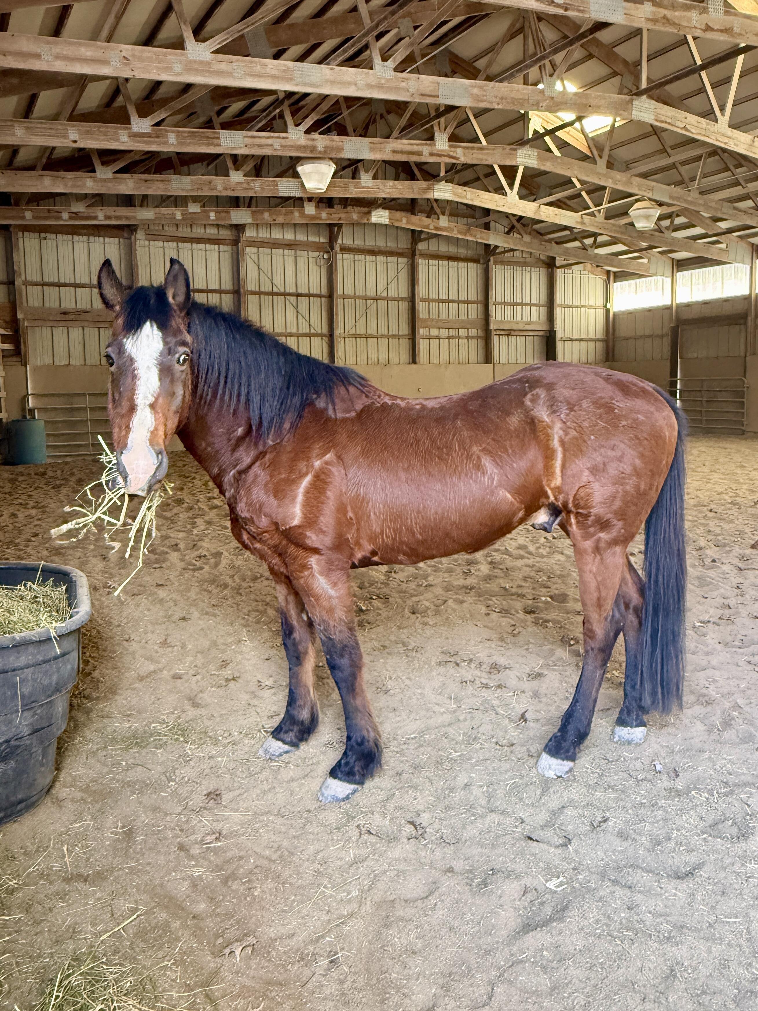 Campaign cover for Medical & General Donation