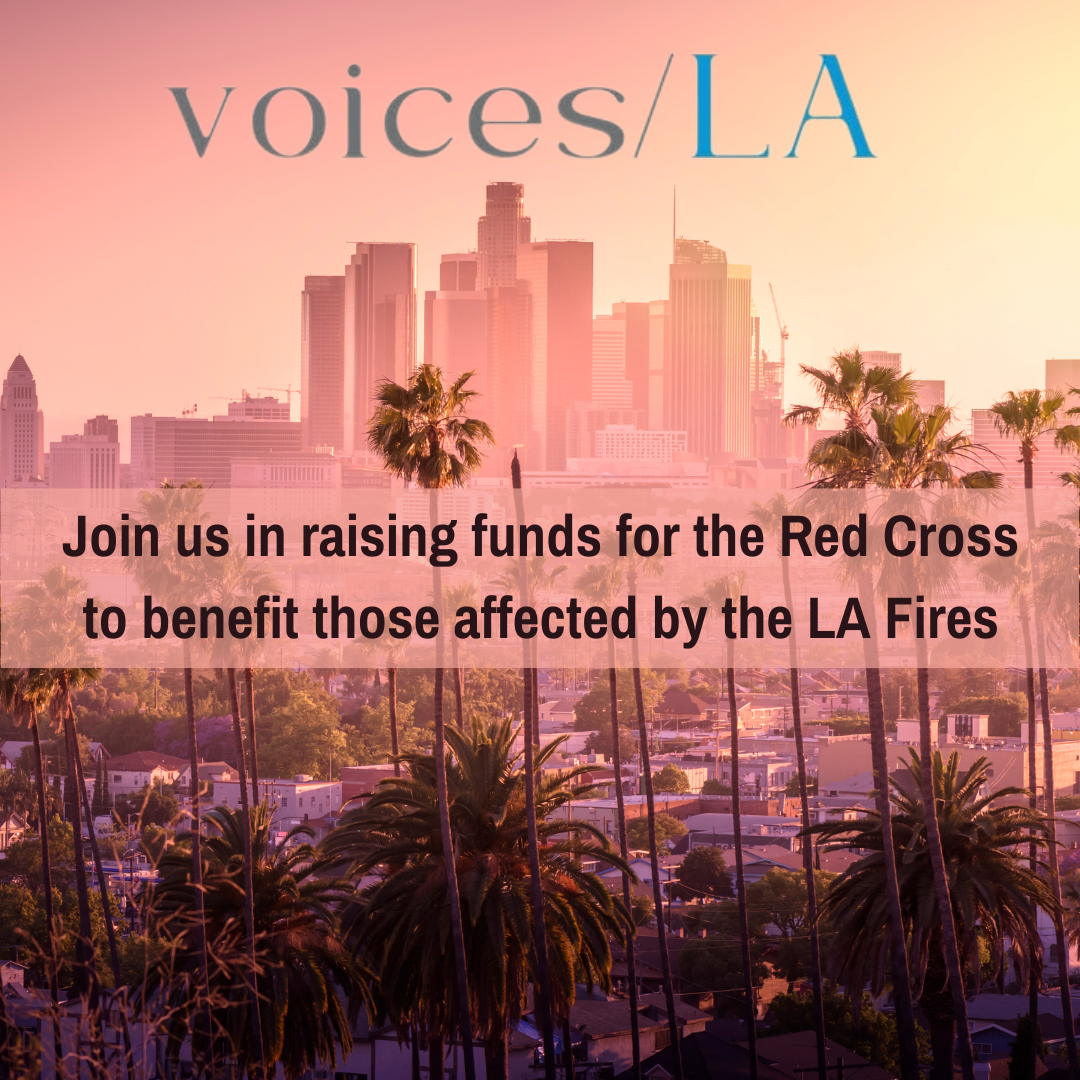 Campaign cover image for voices/LA Fire Fundraiser