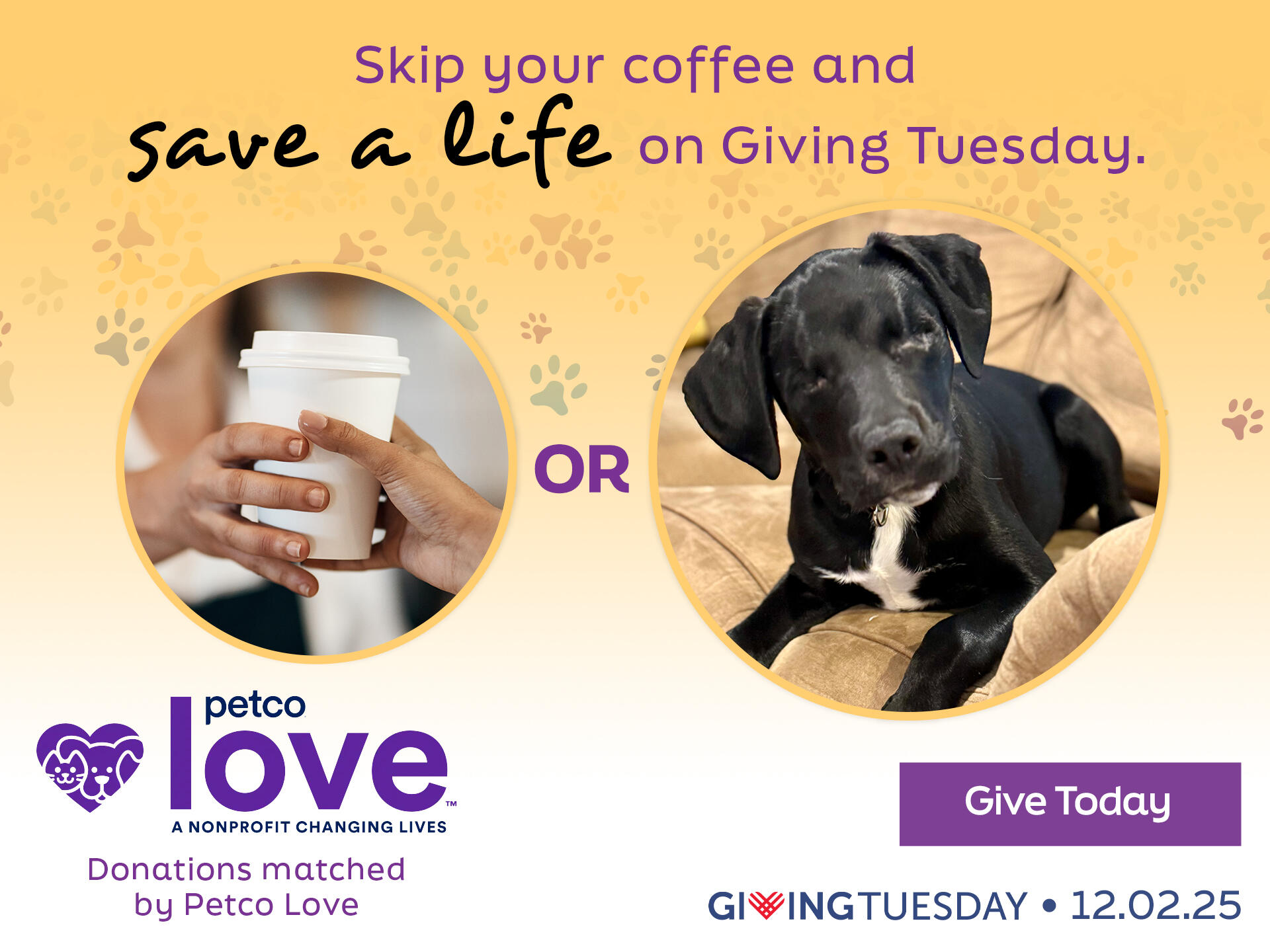 Campaign cover image for Giving Tuesday Match