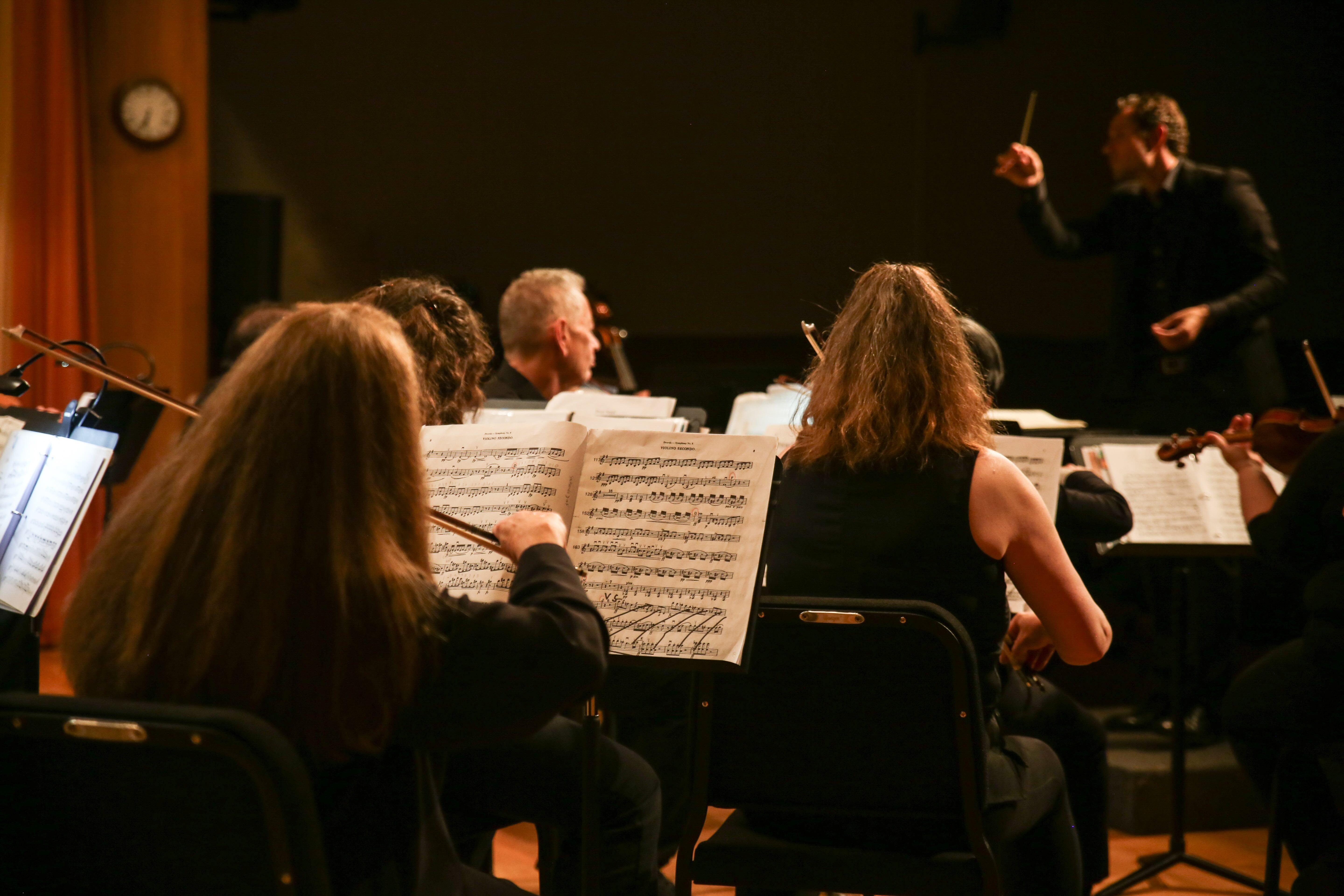 Campaign cover image for The Music School of Delaware presents the Wilmington Community Orchestra at Rockwood Museum - July 17, 2026