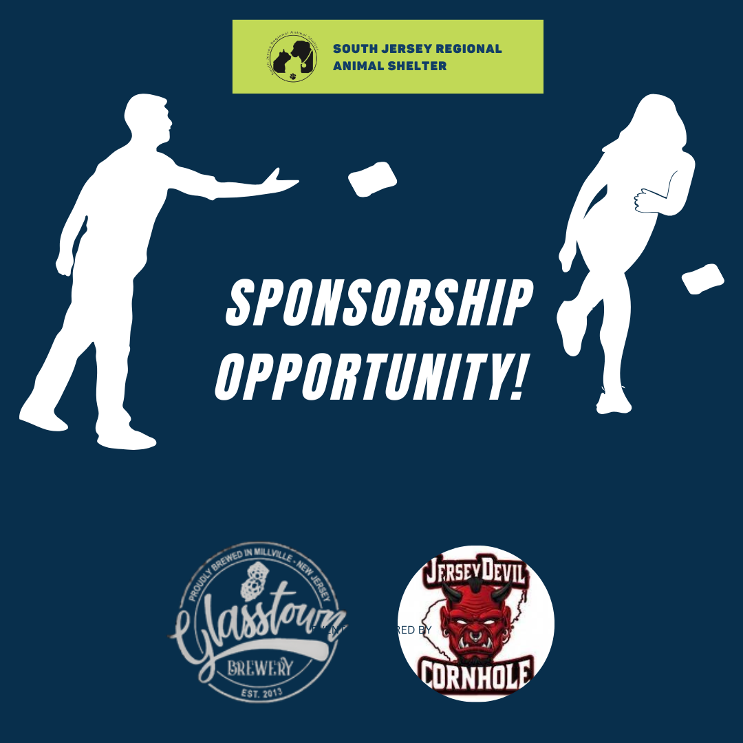 Campaign cover image for SJRAS Cornhole Tournament Sponsorship 4.26.25