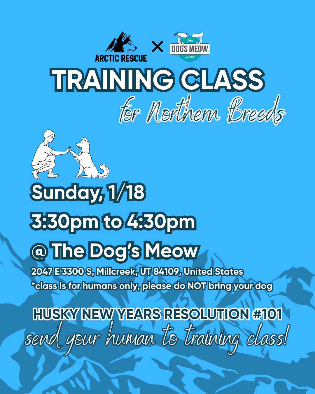 Campaign cover image for Training Class with Arctic Rescue at The Dog's Meow