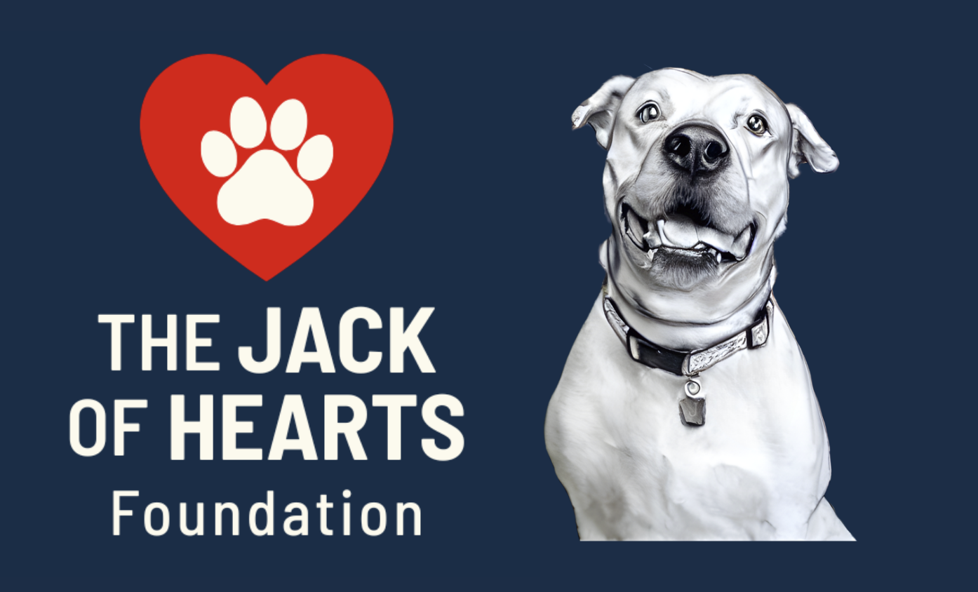 Campaign cover image for The Jack of Hearts Foundation