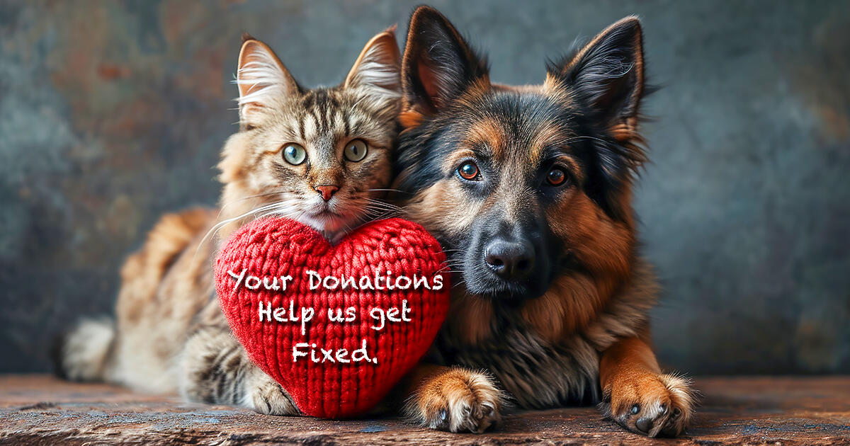 Campaign cover for Donate Now