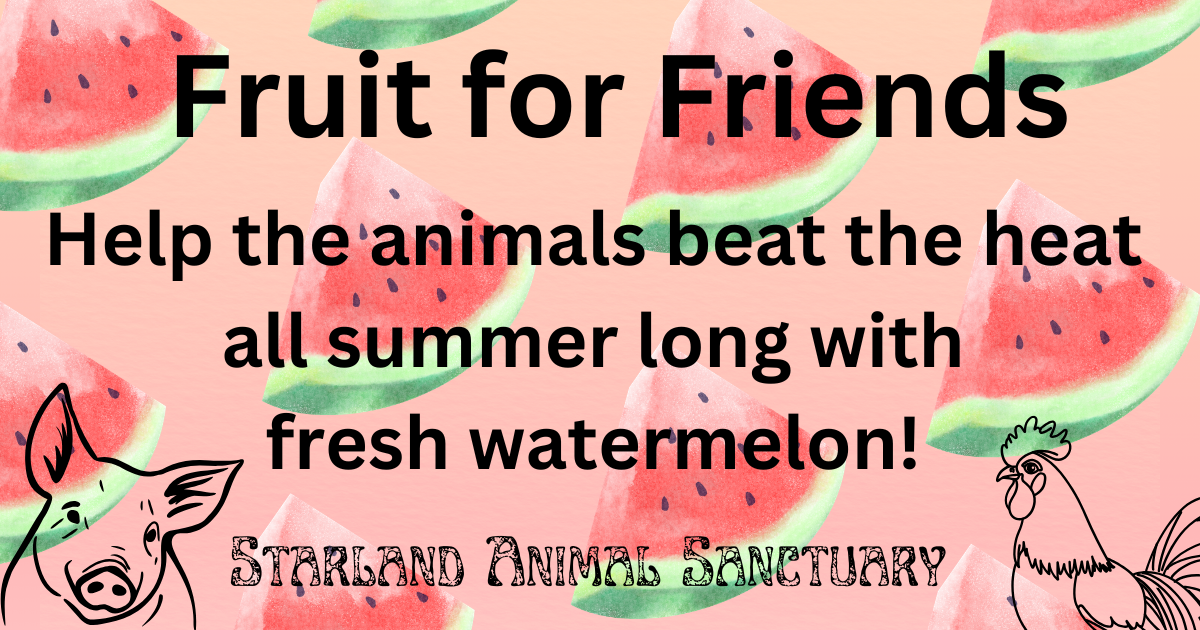 Campaign cover image for Fruit for Friends