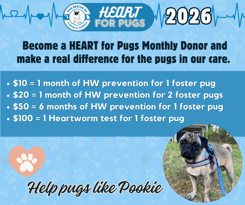 Campaign cover for The HEART For Pugs Fundraising Campaign