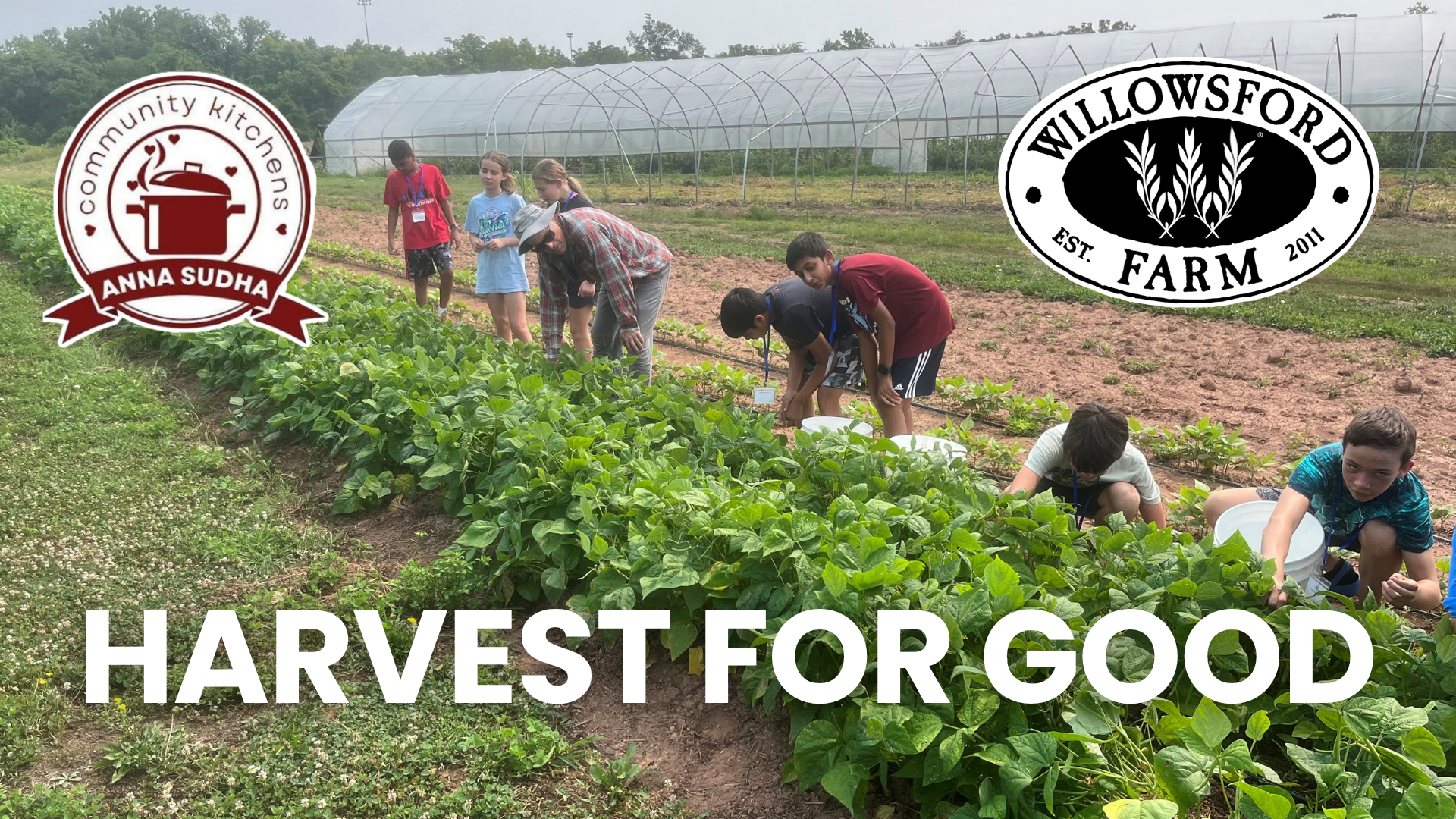 Campaign cover image for Harvest for Good