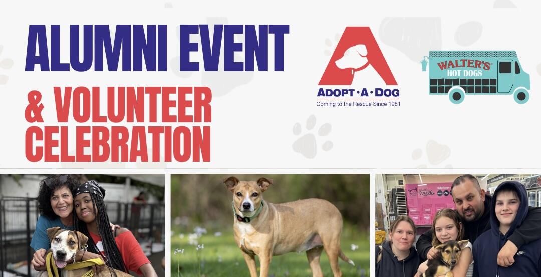 Campaign cover image for Alumni Reunion and Volunteer Celebration