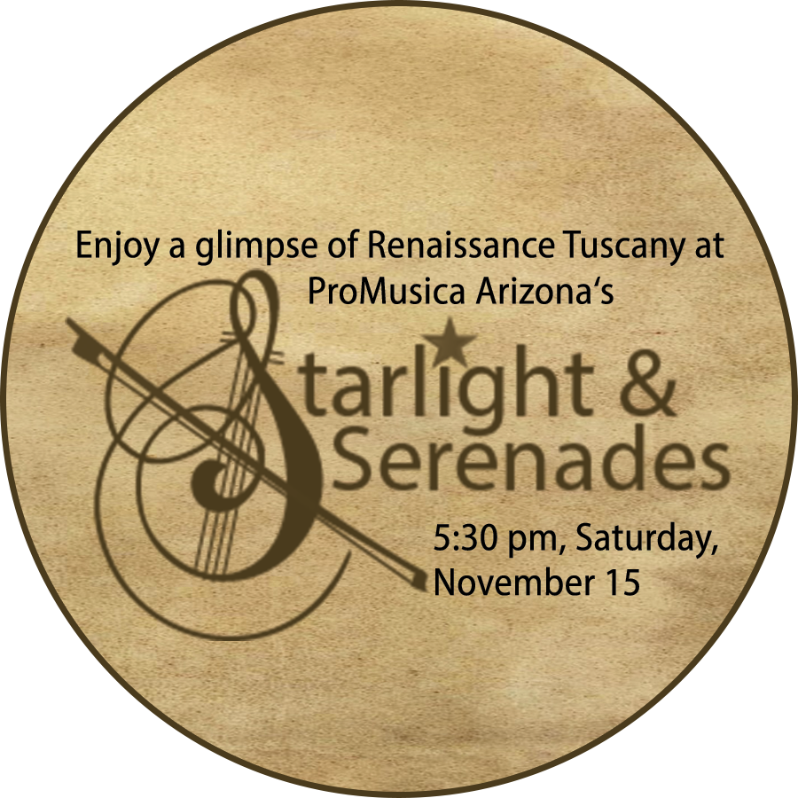 Campaign cover image for Starlight & Serenades auction proceeds