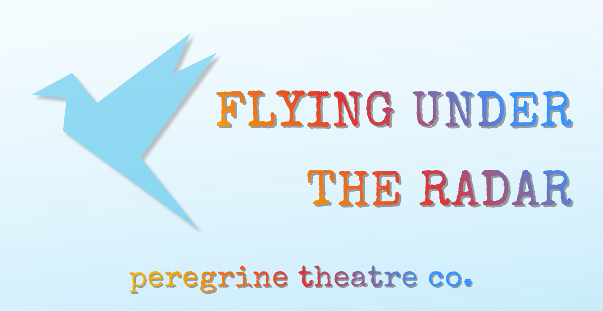 Campaign cover image for Flying Under the Radar Campaign
