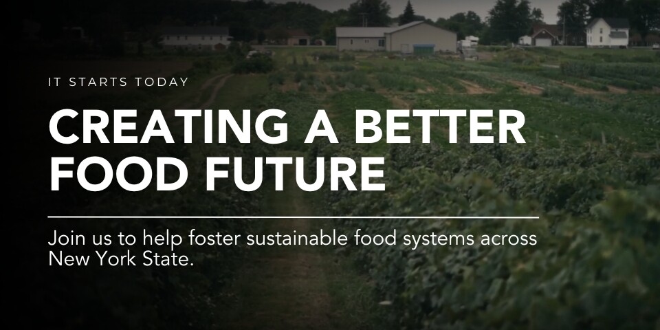 Campaign cover image for Nutrition Education Program Support