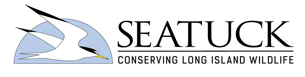 Campaign cover for Help Conserve Long Island Wildlife and the Environment