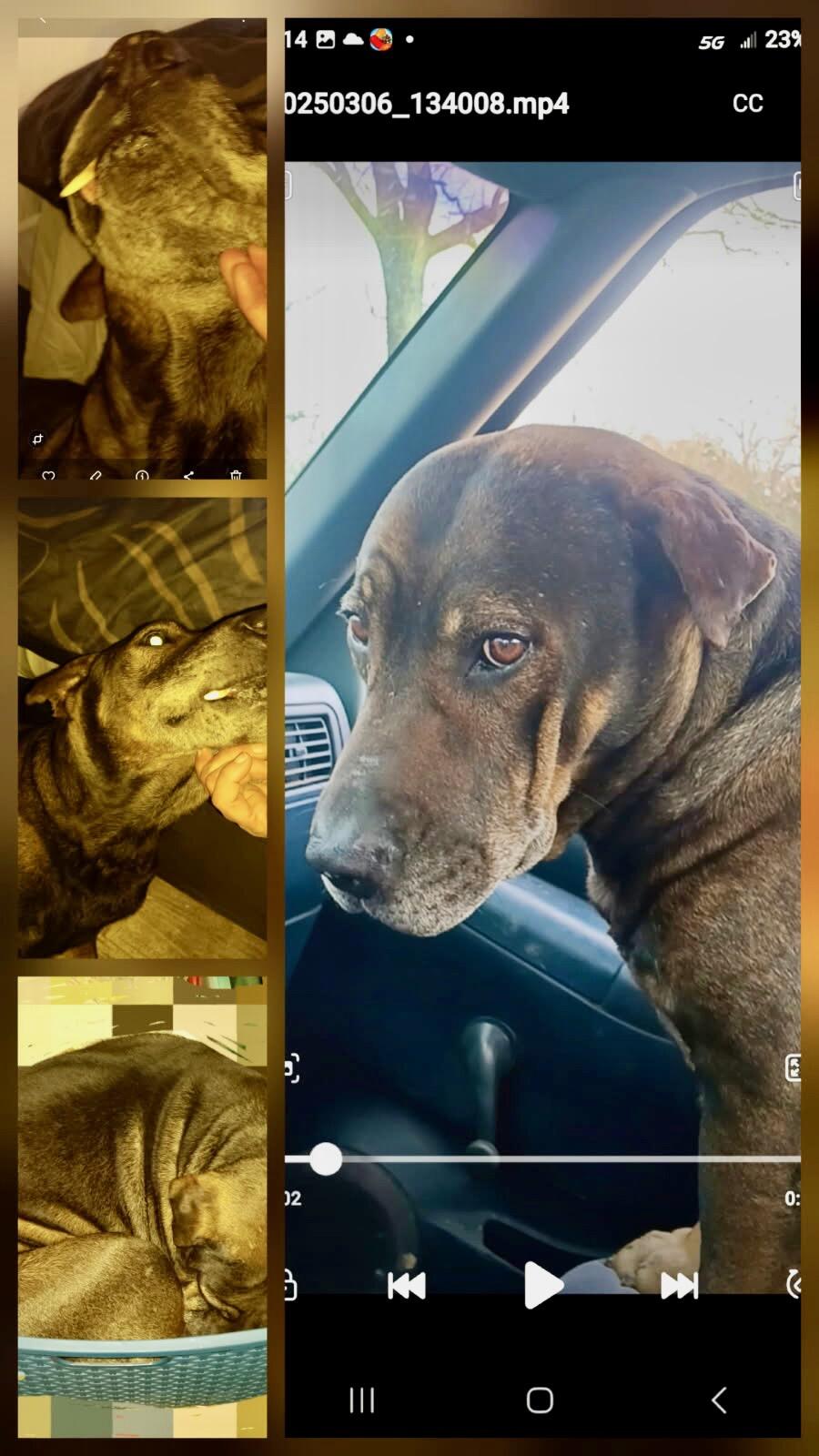 Campaign cover image for 2026 Vet Bill Relief.