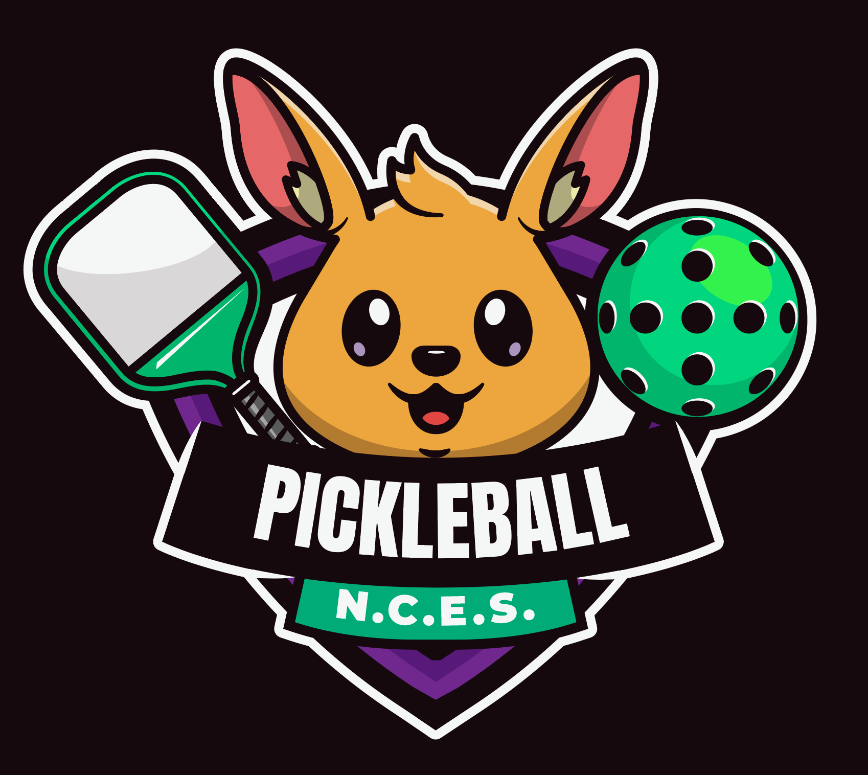 Campaign cover image for 2nd Annual Newton Collins PTA Pickleball Tournament