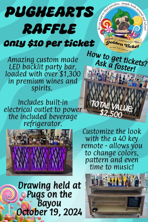 Campaign cover image for 2024 POTB Raffle for Party Bar