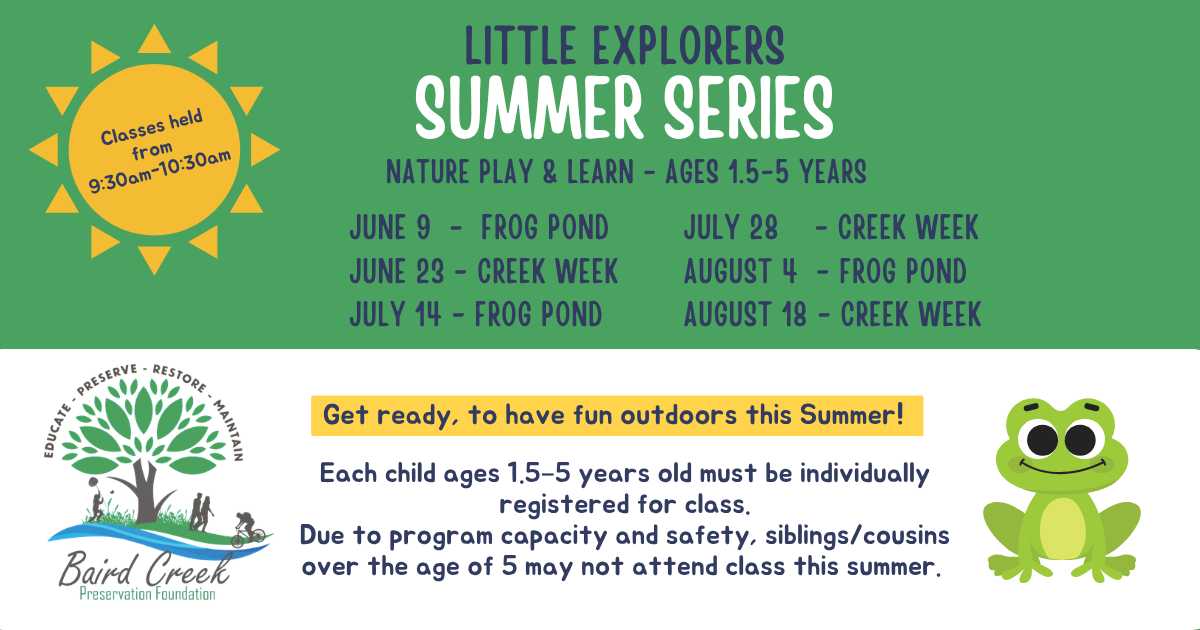 Campaign cover image for Little Explorers - Summer Series
