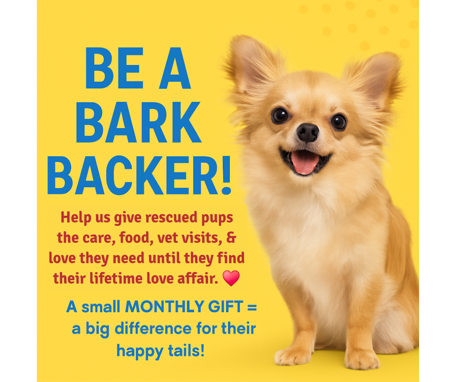 Campaign cover image for Bark Backer