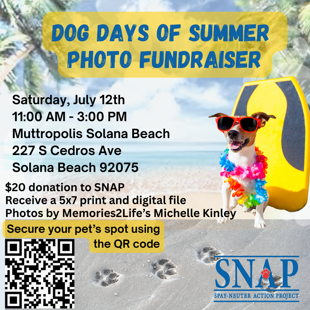 Campaign cover image for SNAP's Dog Days of Summer Photo Fundraiser