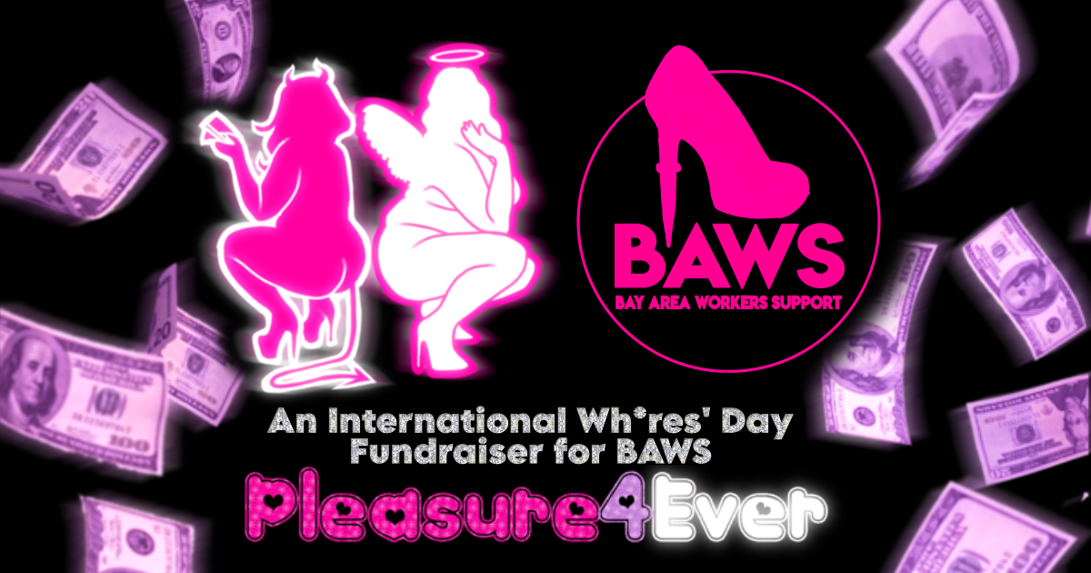 Campaign cover image for BAWS Pleasure4Ever