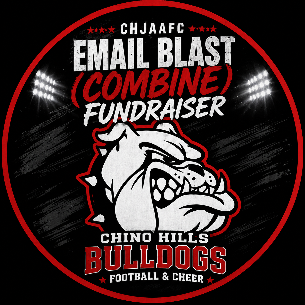 Campaign cover image for 2026 Email Blast (Combine) Fundraiser