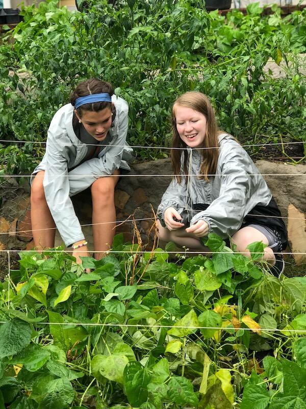 Campaign cover image for Sustainability Youth Cohort