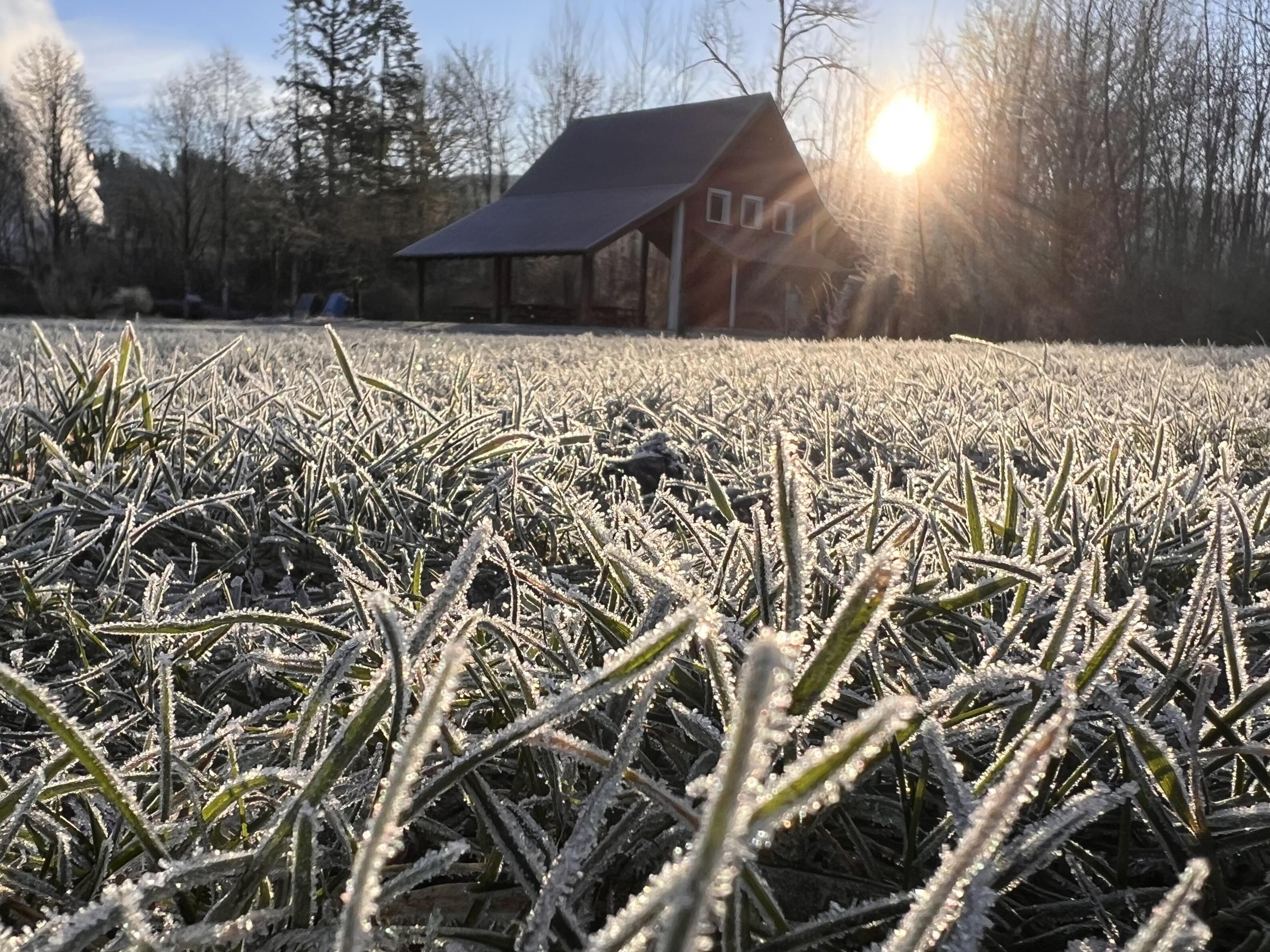 Campaign cover image for City Nature Walk - Confluence Park