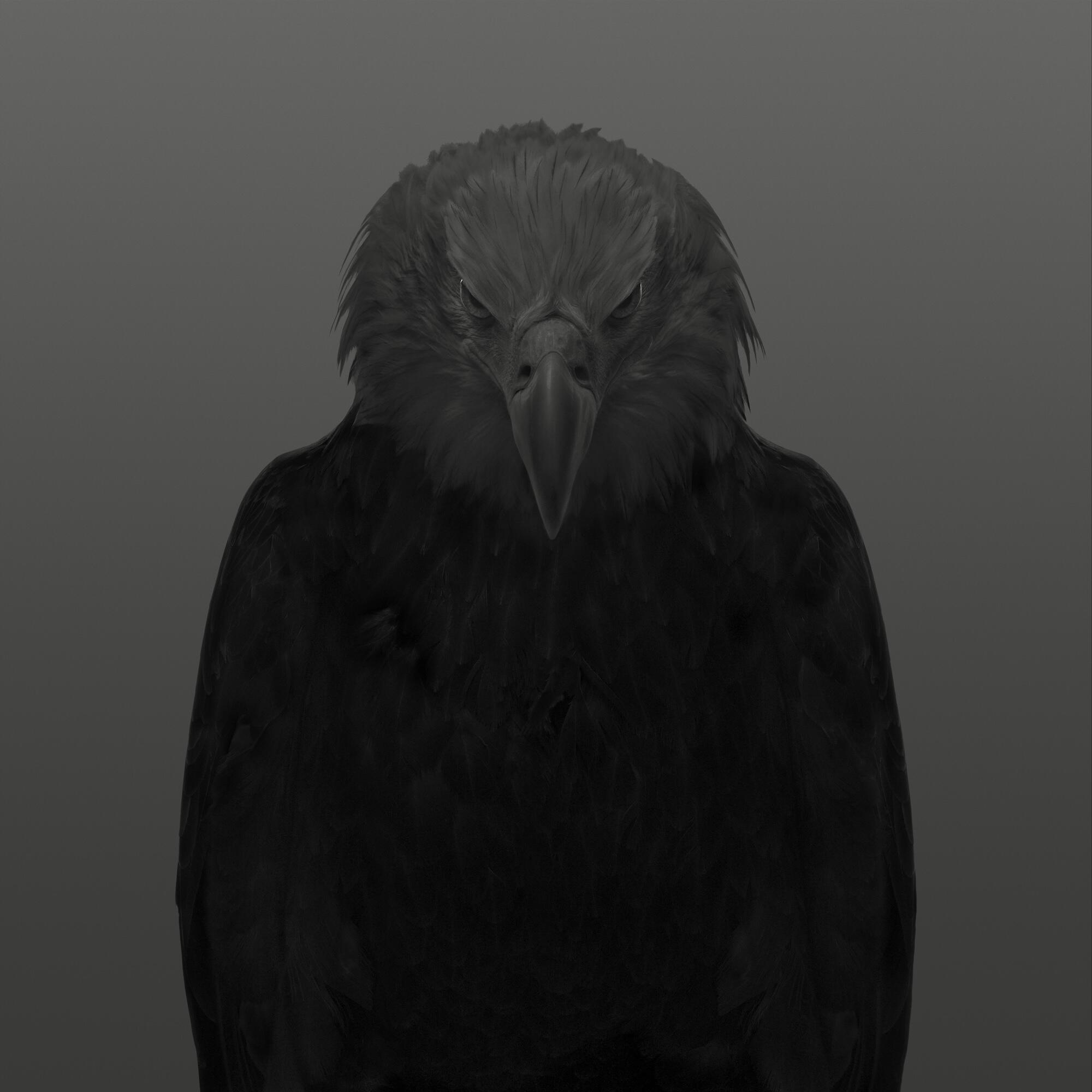 Campaign cover image for Eagle Art Auction Donation