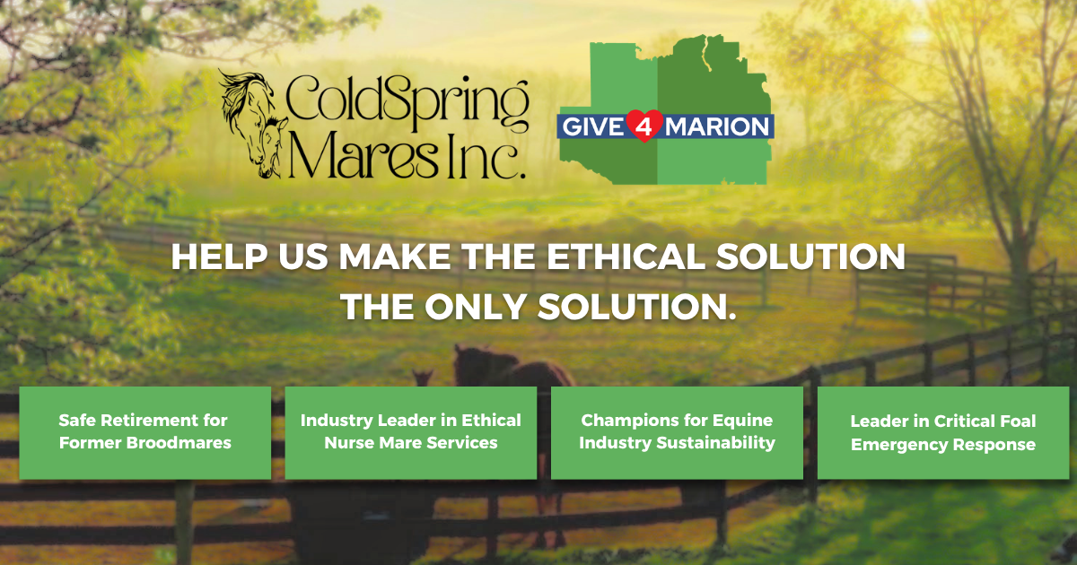 Campaign cover for ColdSpring Mares Give4Marion 2026