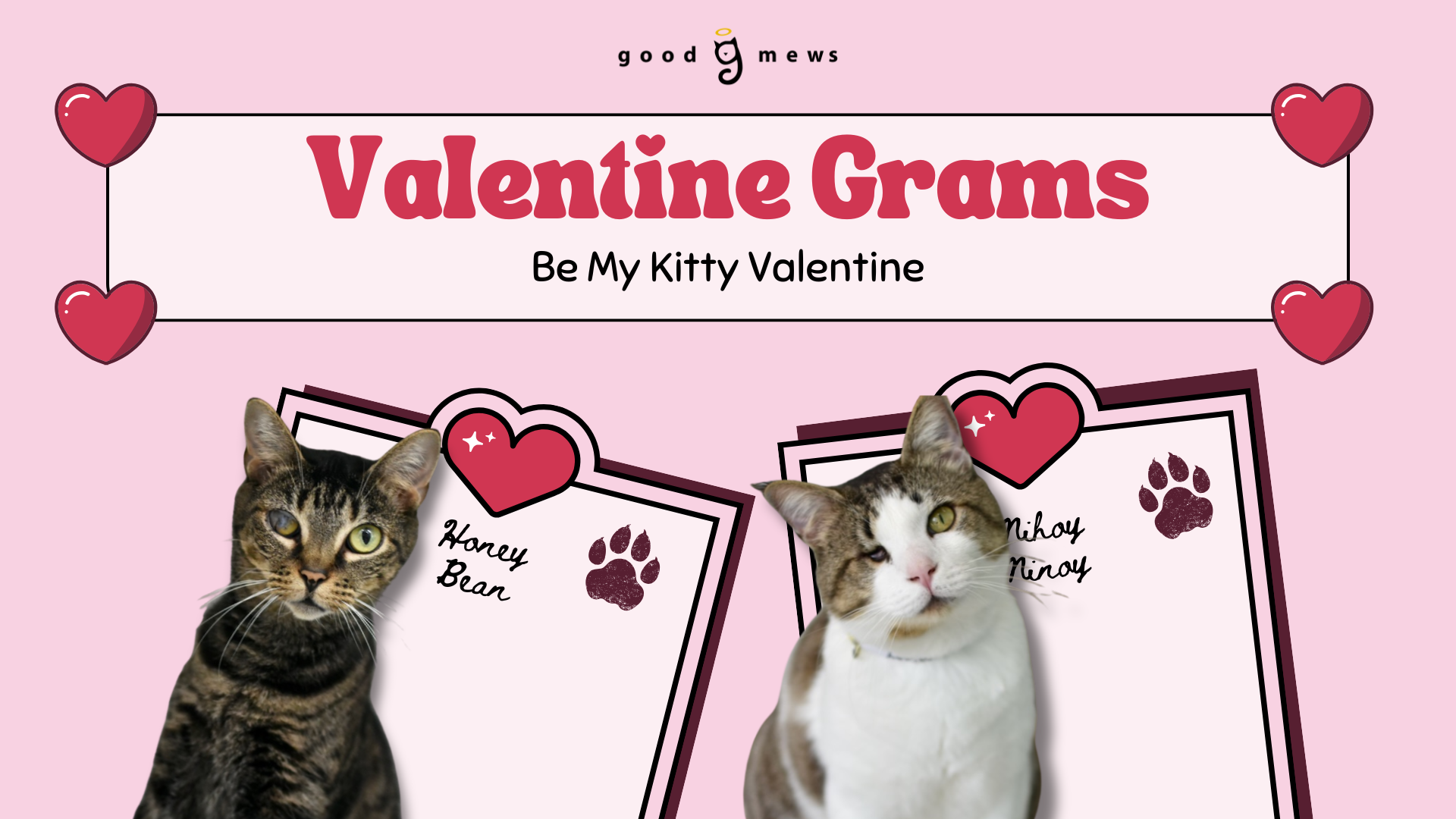 Campaign cover image for Valentine Grams