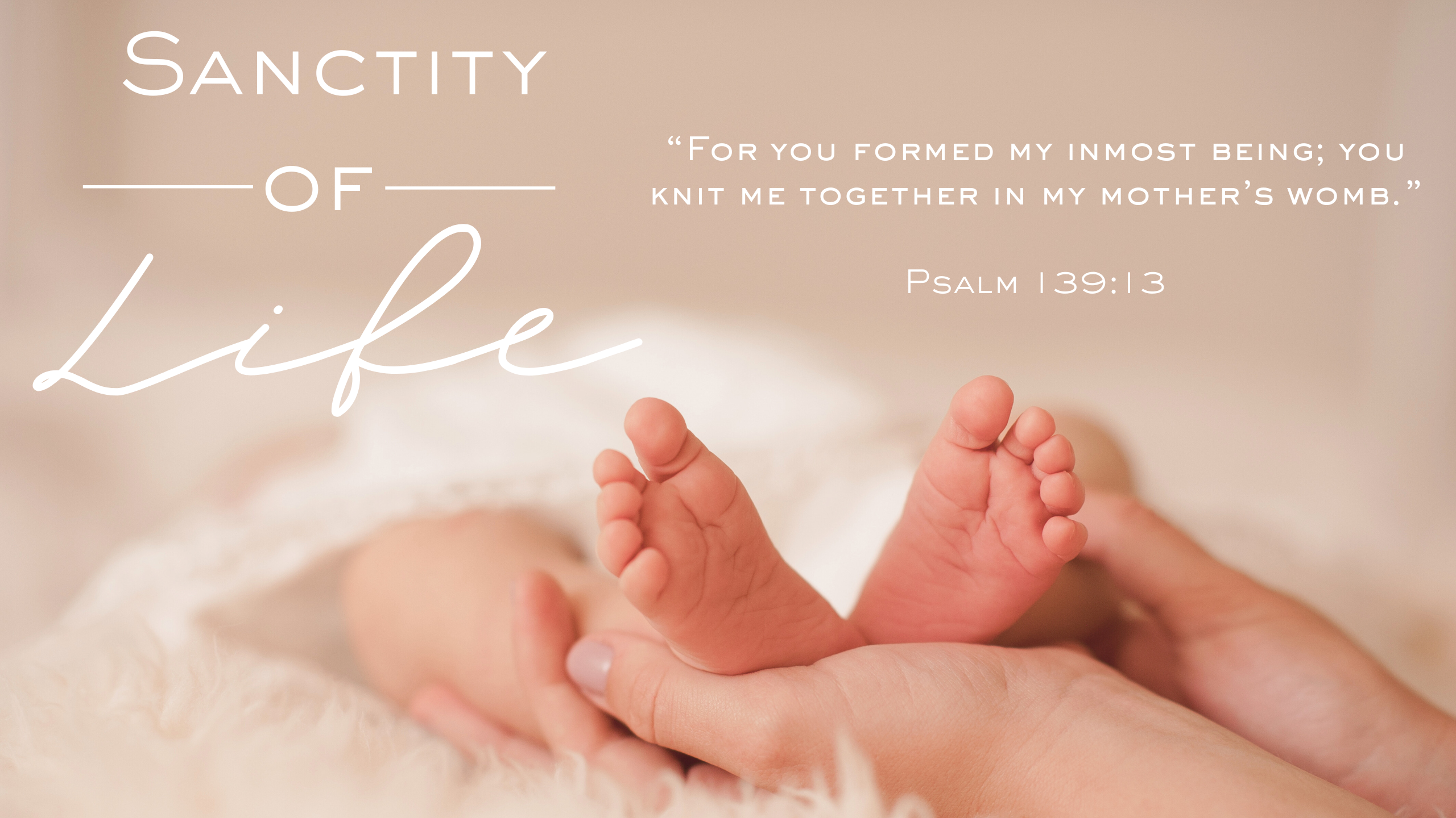 Campaign cover image for 2026 Church at Loveland Sanctity of Life