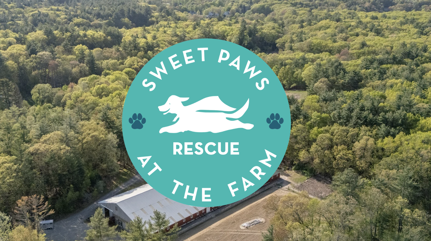 Campaign cover for A Forever Home For Sweet Paws Rescue