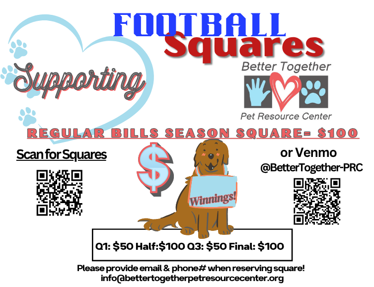 Campaign cover image for FOOTBALL SQUARES!