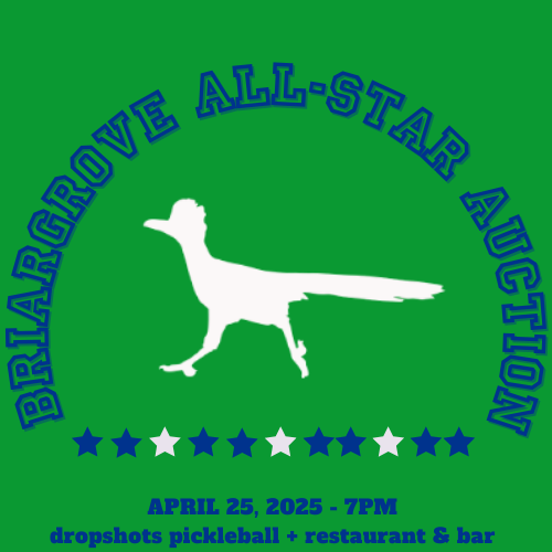 Campaign cover image for Briargrove All-Star Auction