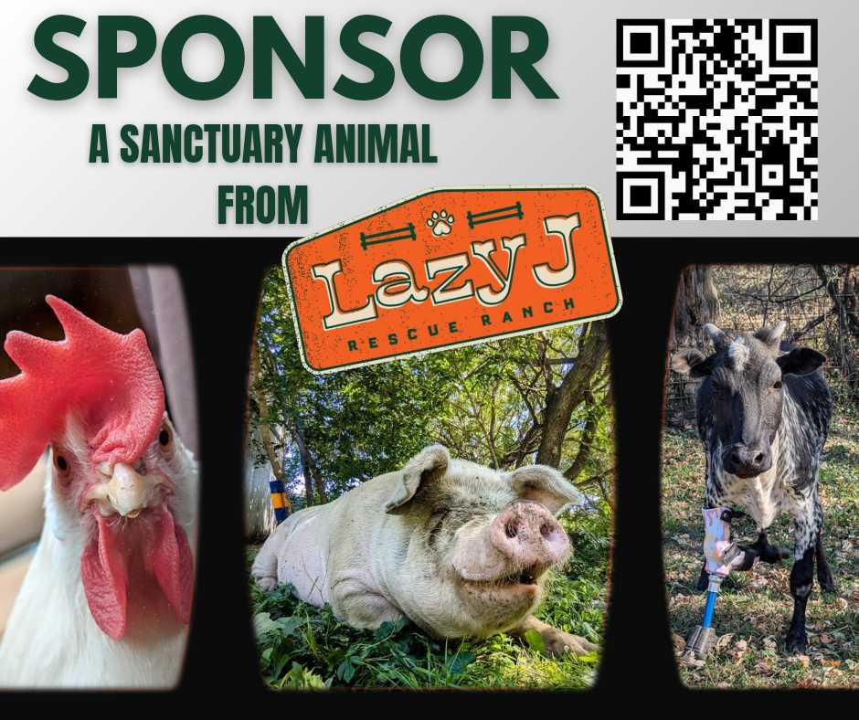 Campaign cover image for Animal Sponsorships for Giving Tuesday at Lazy J Rescue Ranch