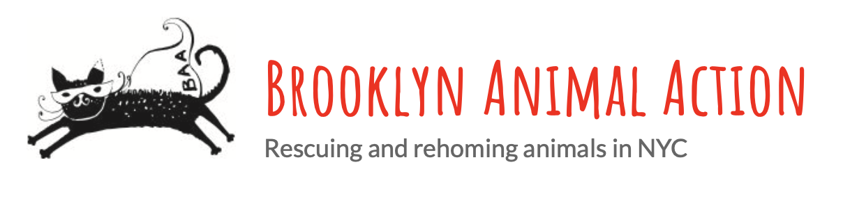 Campaign cover image for April 29 Happy Hour