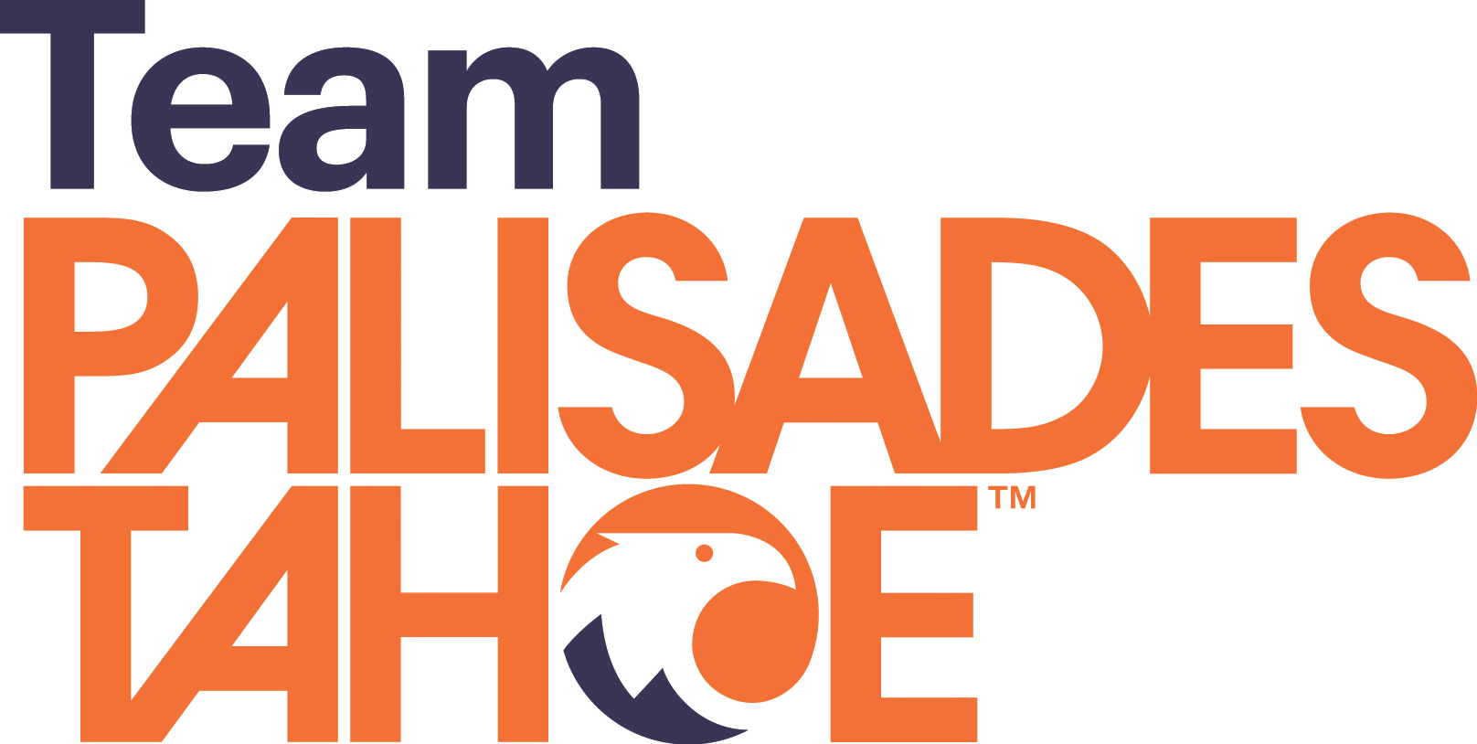 Campaign cover image for Palisades Tahoe Adult Freeride Scholarship